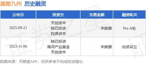 星瞰九州完成Pre-A轮融资，天创资本与陆石投资领投，加速信息技术咨询业务发展