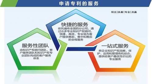 专利咨询与知识产权布局 创新之路的护航指南
